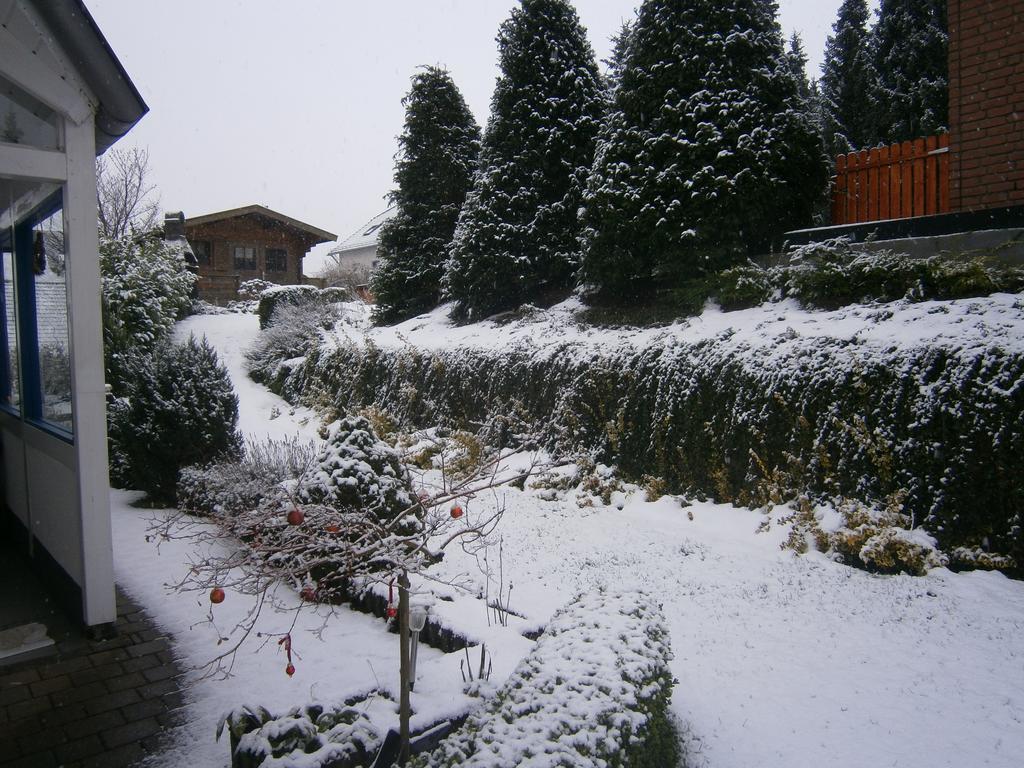 Eifeler Ferienwohnung Nettersheim Oda fotoğraf